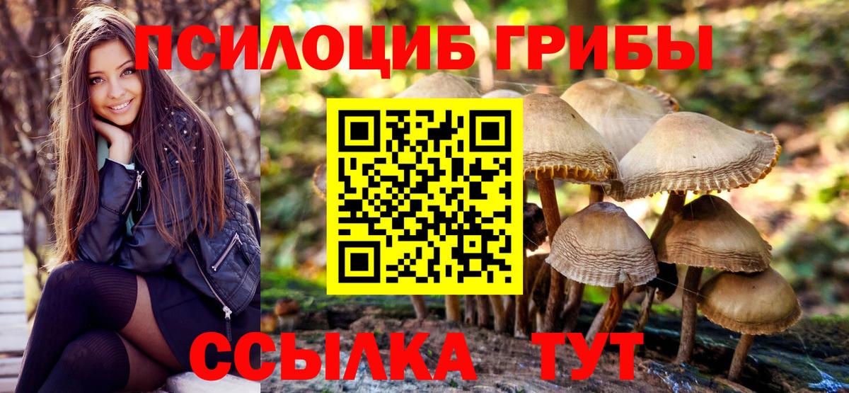 Майкоп  Галлюциногенные грибы Psilocybe  Вход с VPN  купить закладку  Псилоцибиновые грибы мухоморы 